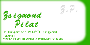 zsigmond pilat business card